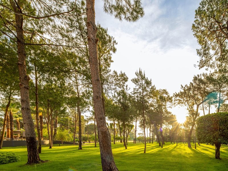 Paloma Foresta Resort & Spa  26