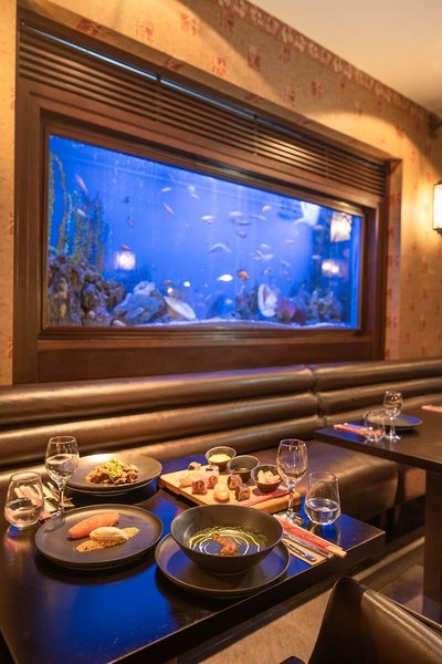 Paloma Foresta Resort & Spa  34