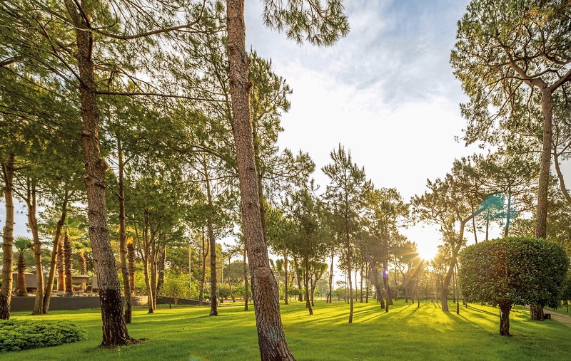 Paloma Foresta Resort & Spa  34