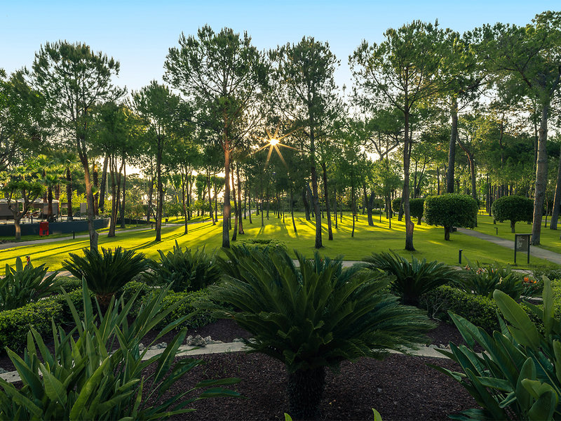 Paloma Foresta Resort & Spa  21