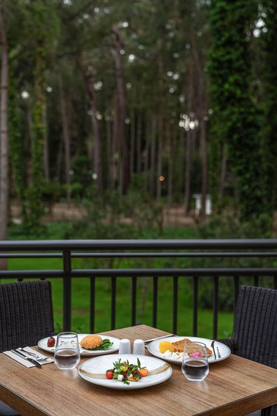 Paloma Foresta Resort & Spa  88