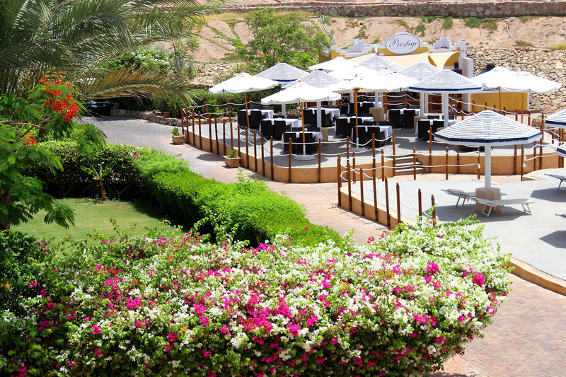 Domina Coral Bay Prestige 12