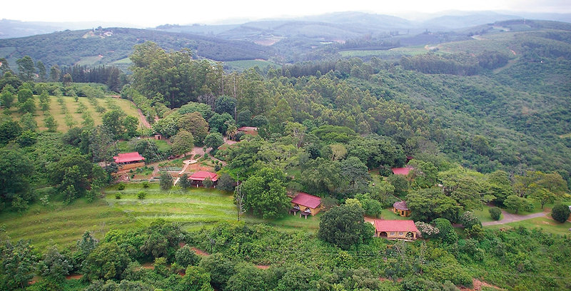 Böhm´s Zeederberg Country 8