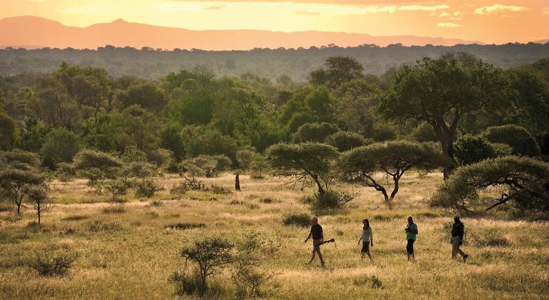 Lion Sands Tinga Lodge 1