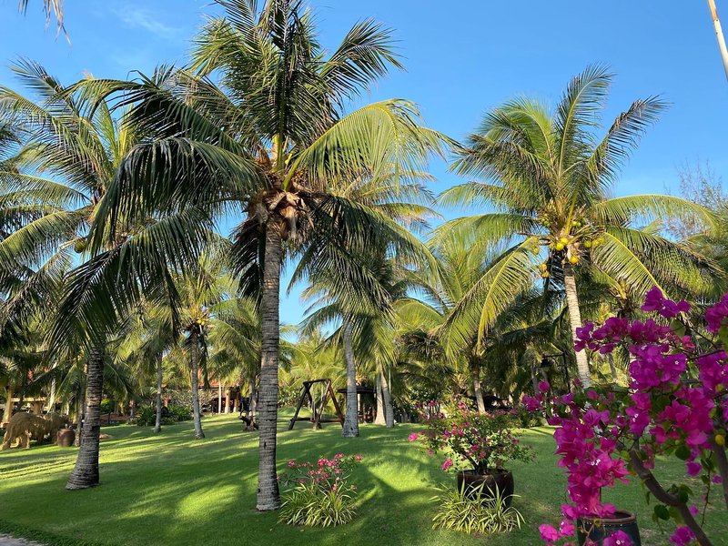 Pandanus Resort 5