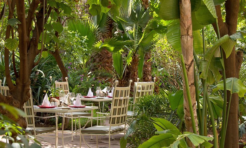 Les Jardins de La Medina 7