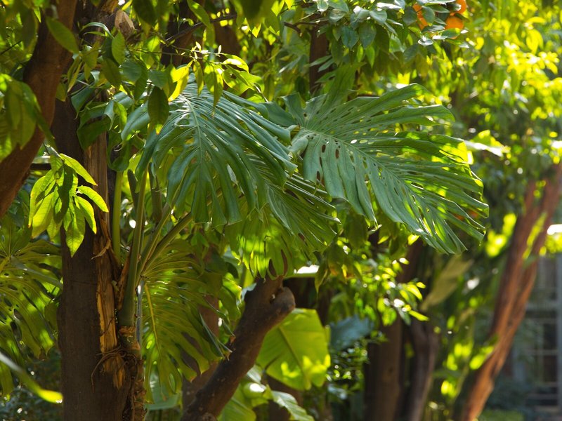 Les Jardins de La Medina 3