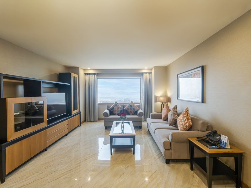Hyatt Regency Dubai & The Galleria Residence 12 - Room Example