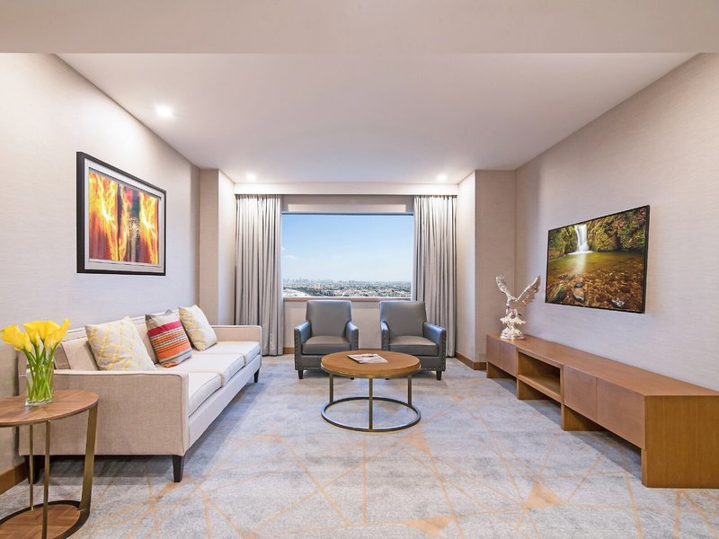 Hyatt Regency Dubai & The Galleria Residence 16 - Room Example