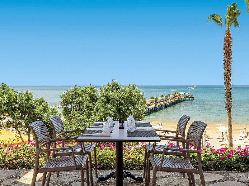 Arum Barut Collection 21