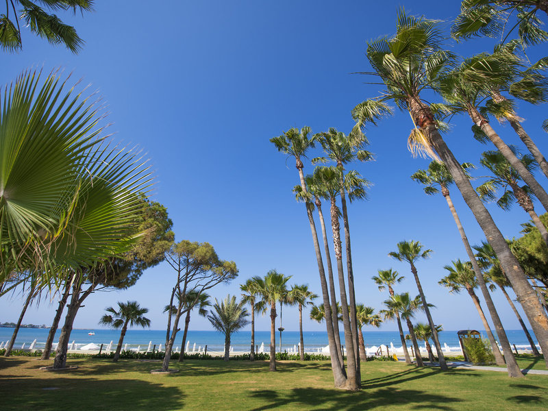 Barut Acanthus & Cennet 7
