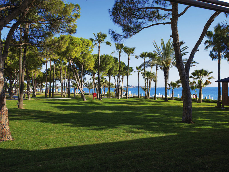 Barut Acanthus & Cennet 8