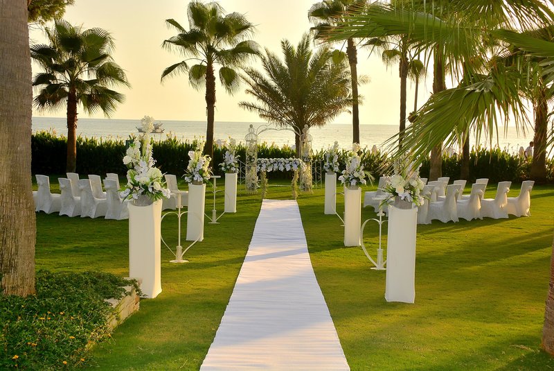 Barut Acanthus & Cennet 37