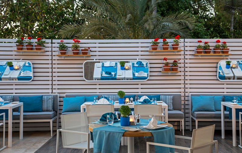 Barut Acanthus & Cennet 79