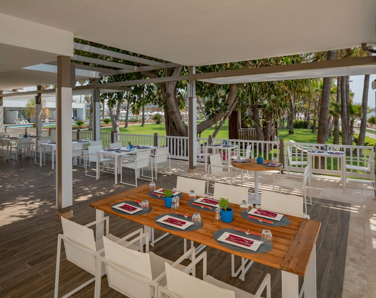 Barut Acanthus & Cennet 93
