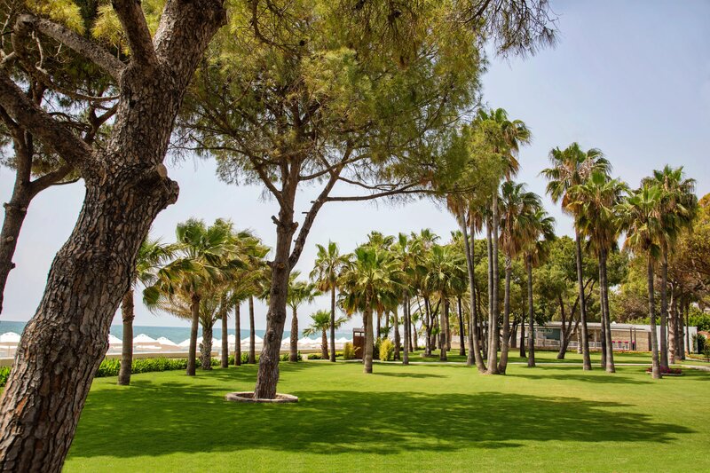 Barut Acanthus & Cennet 109