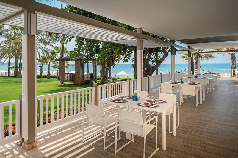 Barut Acanthus & Cennet 21