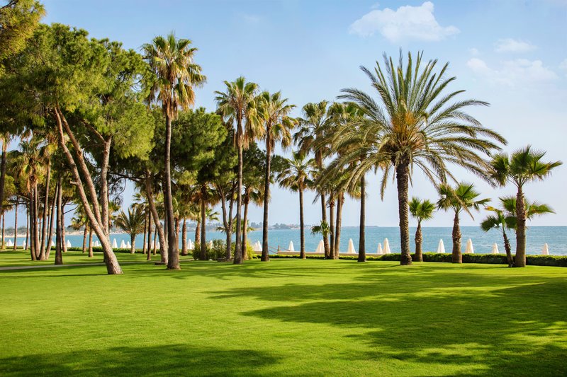 Barut Acanthus & Cennet 22