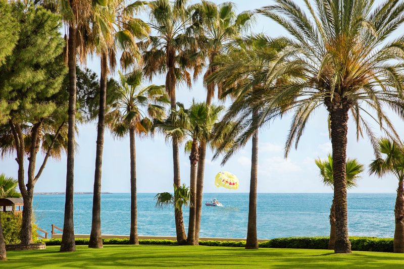 Barut Acanthus & Cennet 23