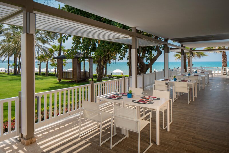 Barut Acanthus & Cennet 71
