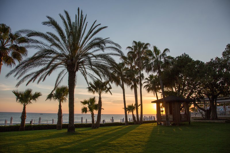 Barut Acanthus & Cennet 85