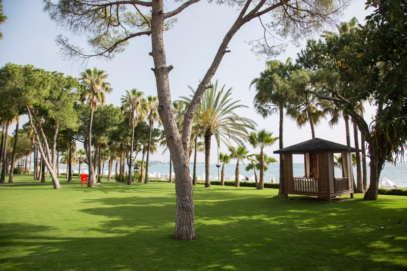 Barut Acanthus & Cennet 86