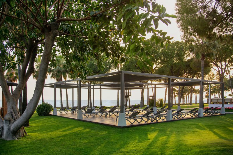 Barut Acanthus & Cennet 26