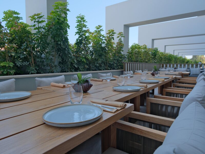 Barut Acanthus & Cennet 97