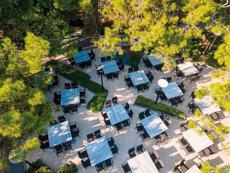 Blue Waters Club 17