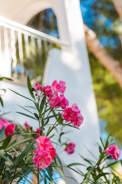 Flipflop Surfing Playa 55