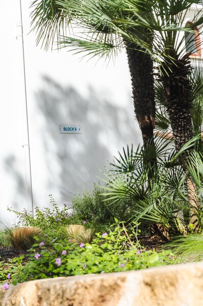 Flipflop Surfing Playa 22