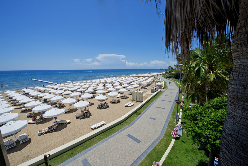 Barut Hemera 11
