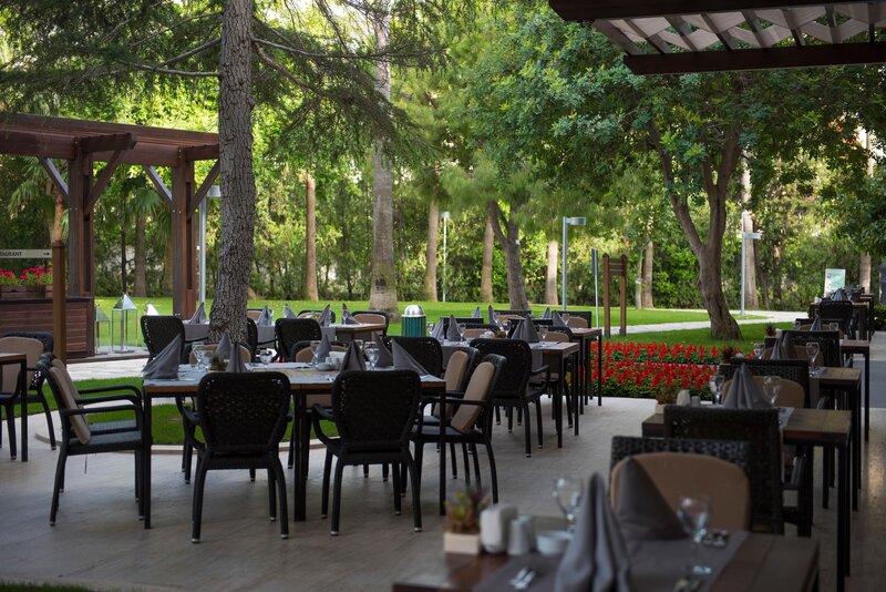 Barut Hemera 79