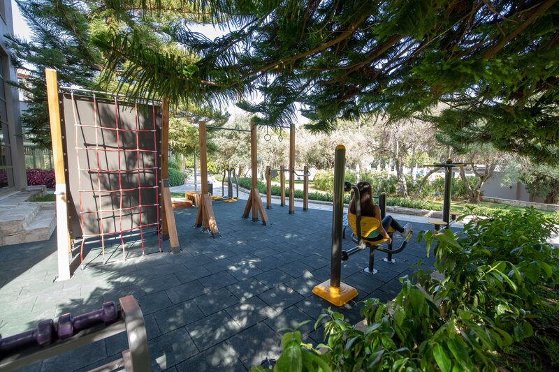 Barut Hemera 41