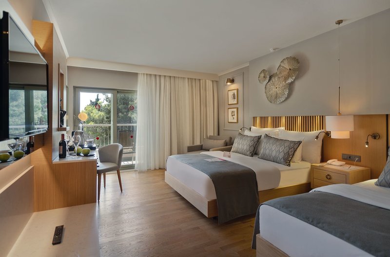 Barut Hemera 28