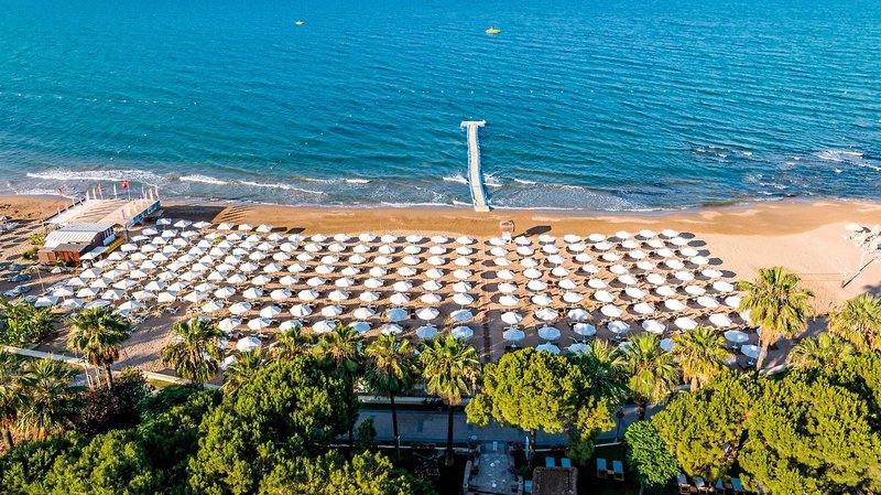Barut Hemera 13
