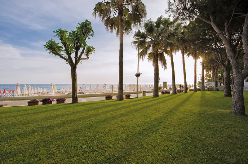 Barut Hemera 15