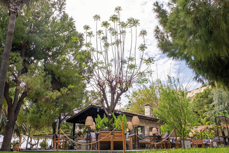 Barut Hemera 25