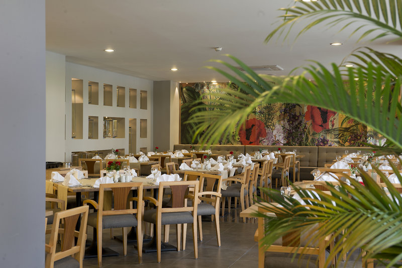 Barut Hemera 45