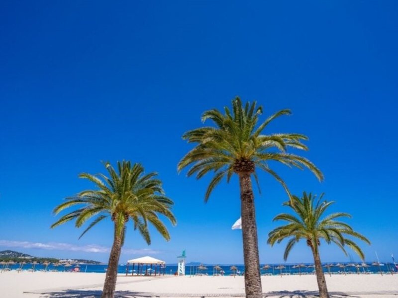 Econotel Las Palomas 6