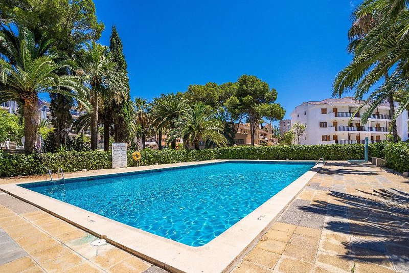 Econotel Las Palomas 1