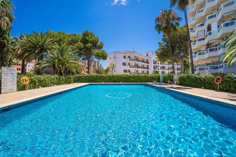 Econotel Las Palomas 4