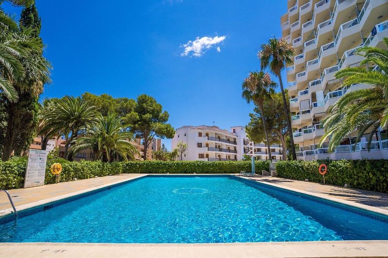 Econotel Las Palomas 5