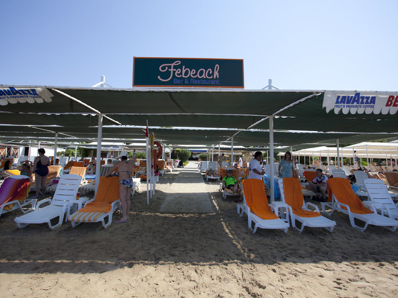 Febeach 6