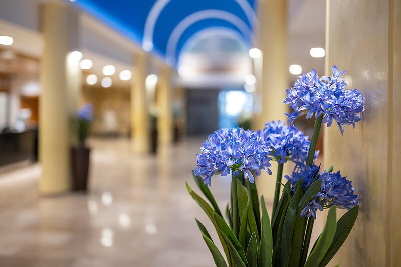 Hotel Playas de Guardamar 43