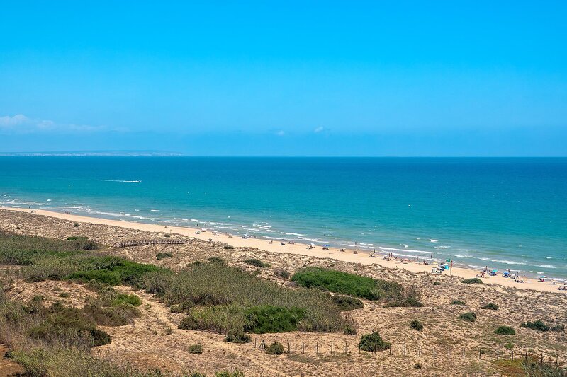 Hotel Playas de Guardamar 79