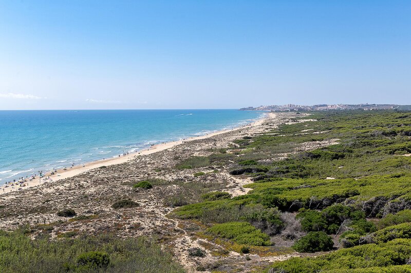 Hotel Playas de Guardamar 81