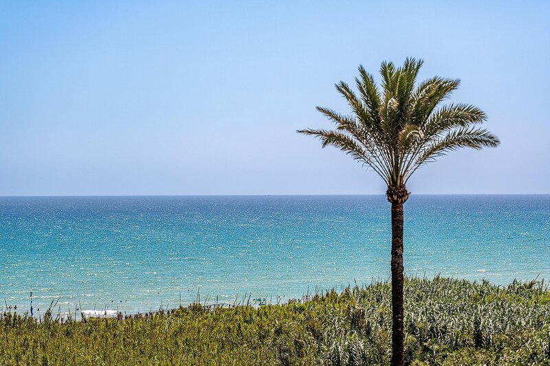 Hotel Playas de Guardamar 82