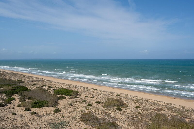 Hotel Playas de Guardamar 84