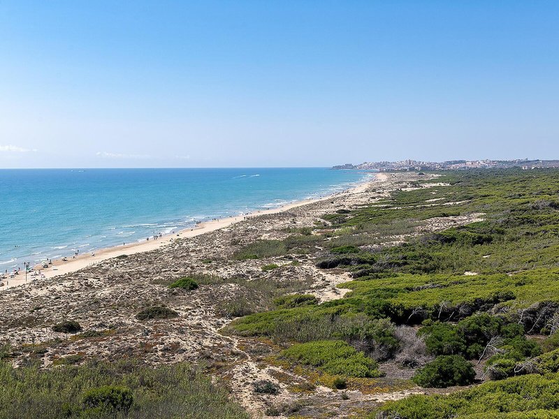 Hotel Playas de Guardamar 7